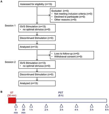 Noisy Galvanic Vestibular Stimulation Sustainably Improves Posture in Bilateral Vestibulopathy